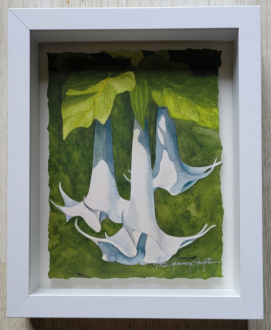 White Trumpet