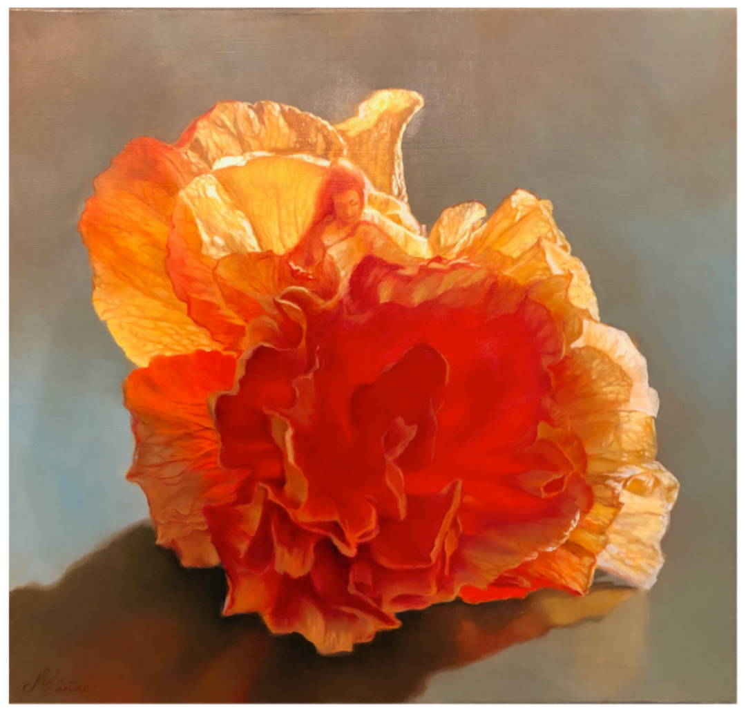 Hibiscus Hula