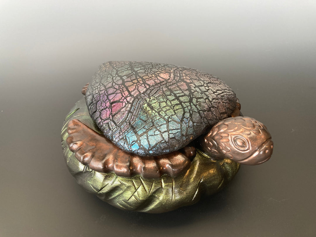 Turtle Island