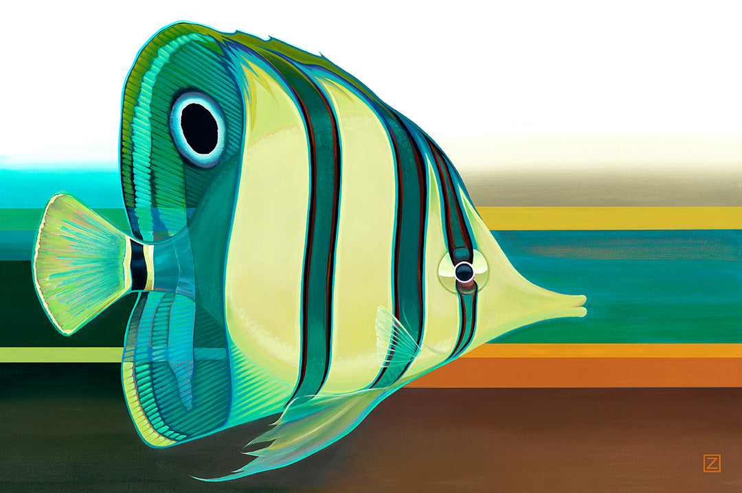 Striped Butterflyfish