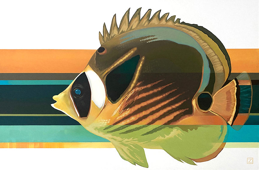 Racoon Fish