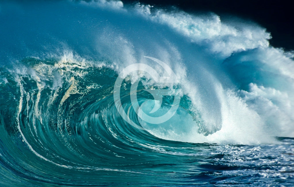 8X12 Metal Print - New Wave