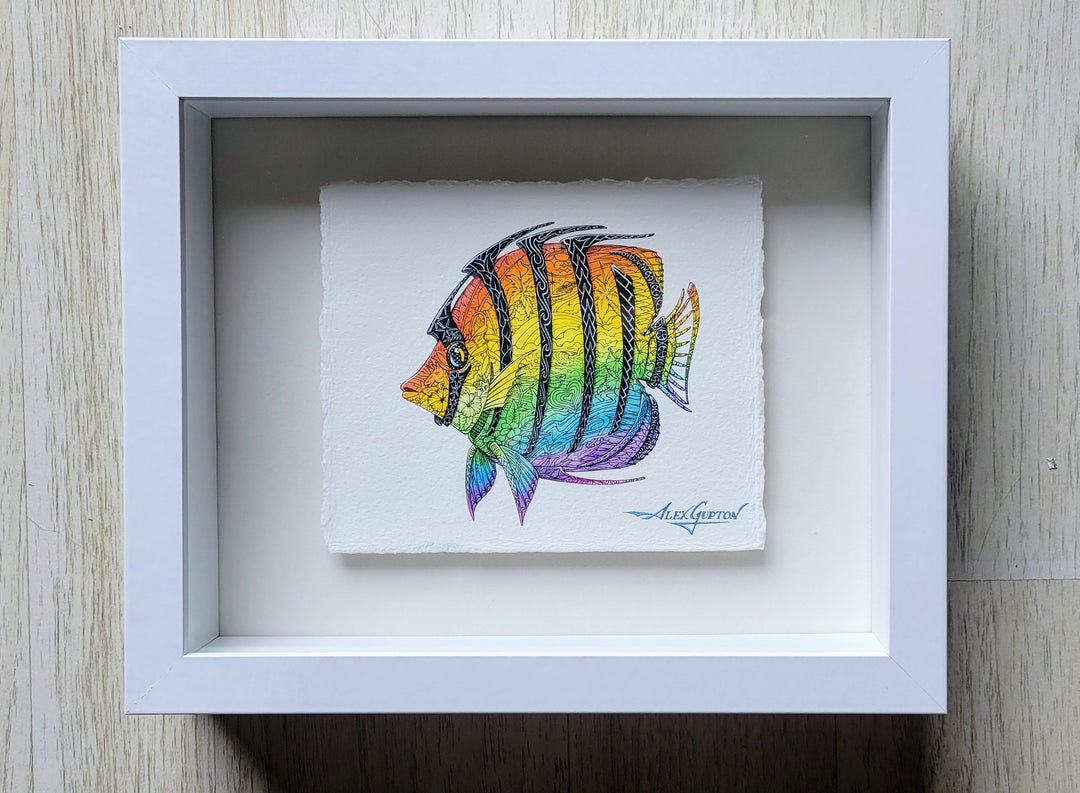 Rainbow Butterflyfish  ~ Original