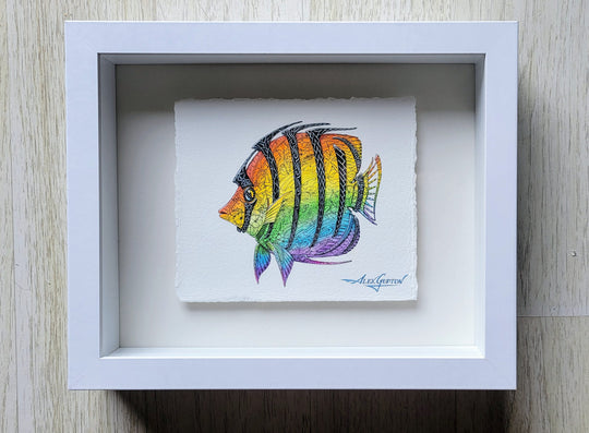 Rainbow Butterflyfish  ~ Original