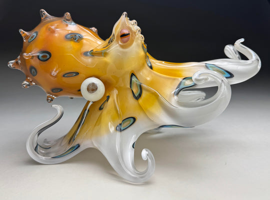 Blue Ringed He'e ~ Original Glass