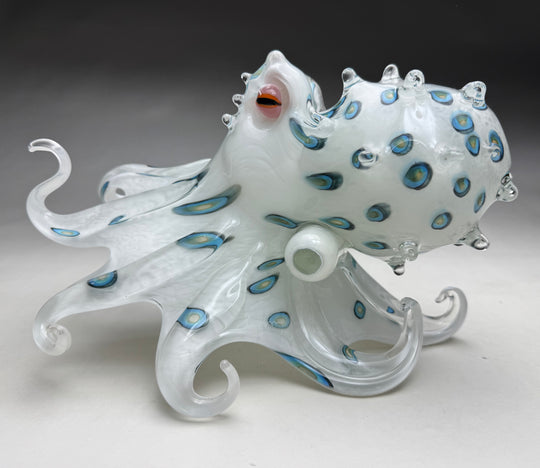 Blue Ringed He'e ~ Original Glass