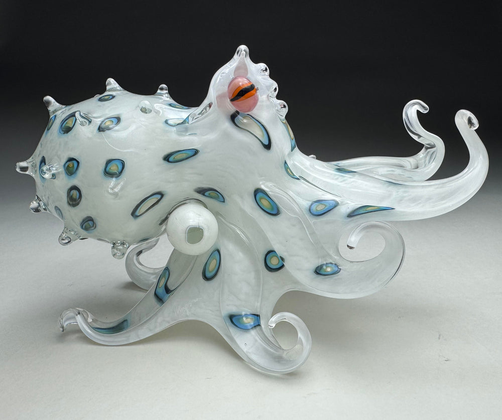 Blue Ringed He'e ~ Original Glass