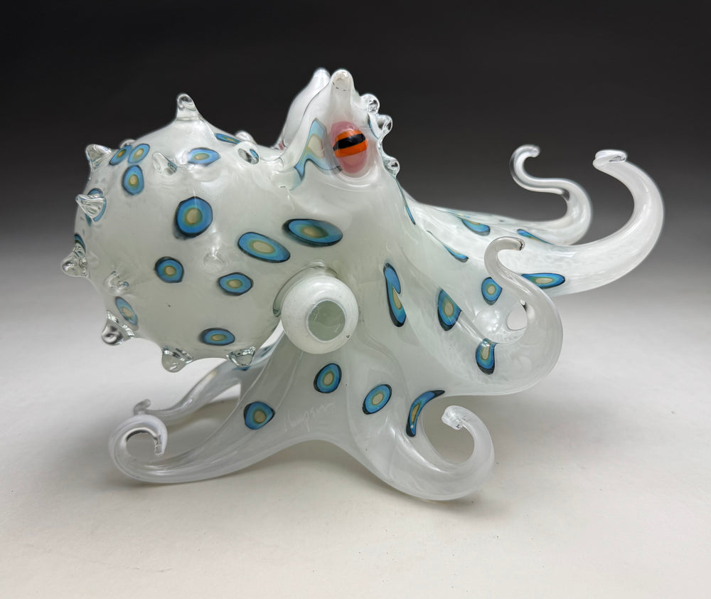 Blue Ringed He'e ~ Original Glass
