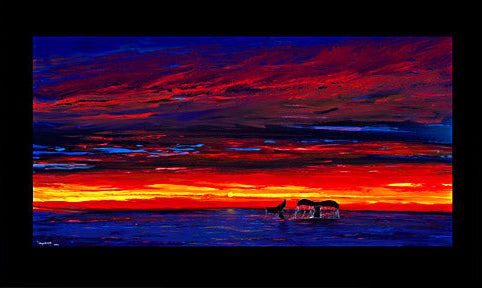 The Endless Summer