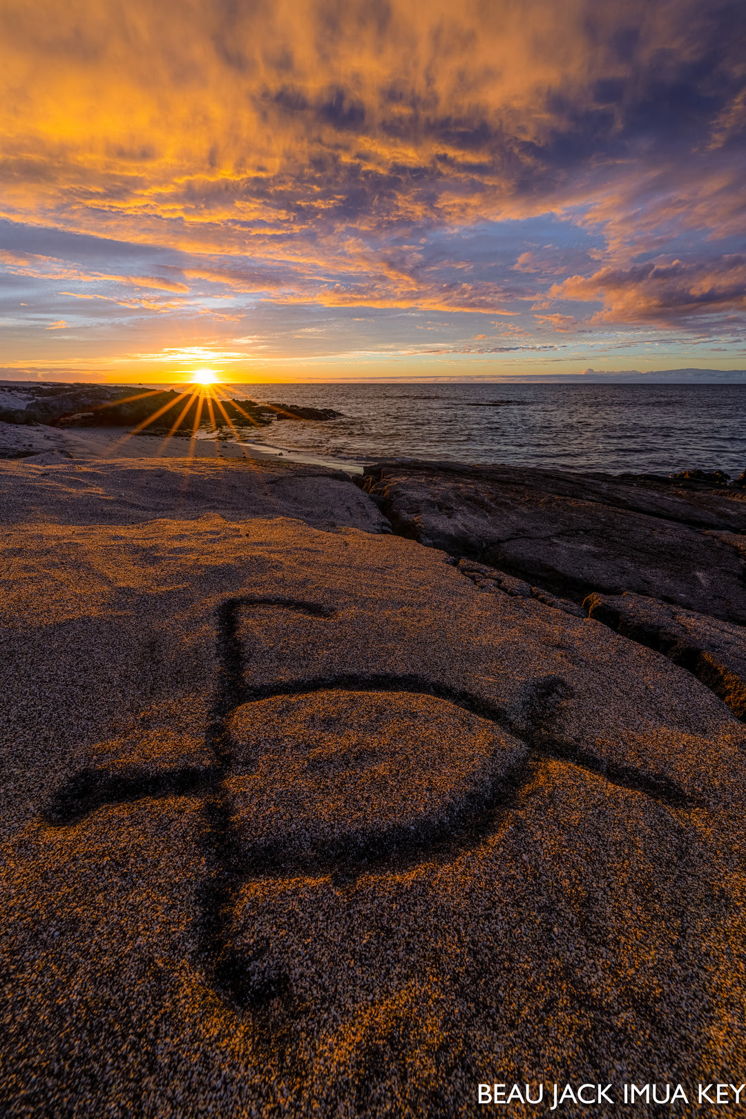 Metal Print - Honu Petroglyph Revisited