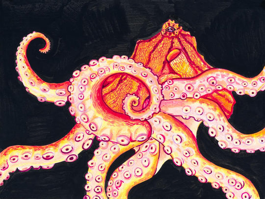 Paper Print - Crimson Crawler