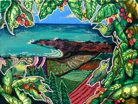 Paper Print - White Eyed Wanderers