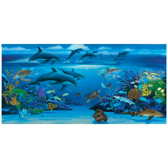 Ocean Paradise