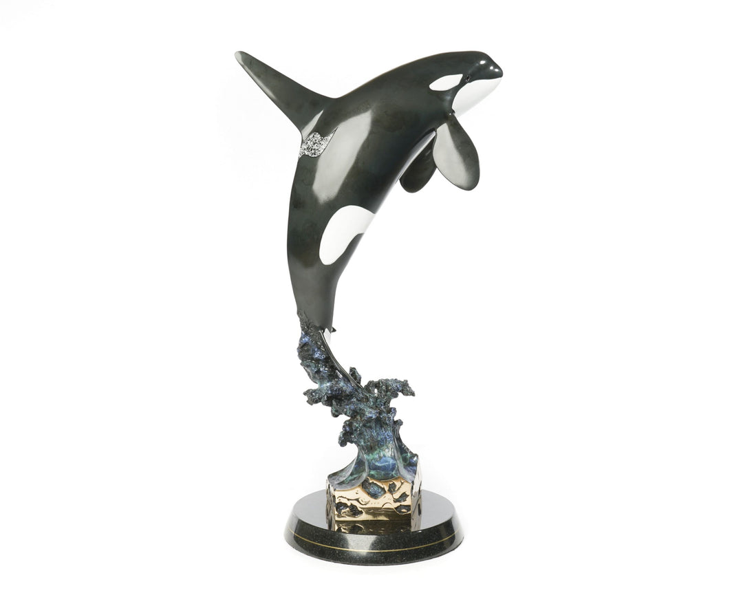 Orca Dream
