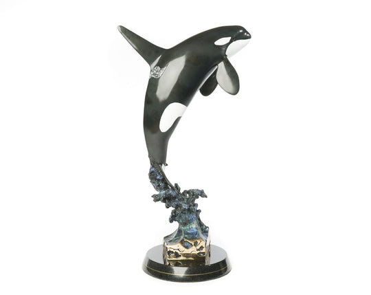 Orca Dream