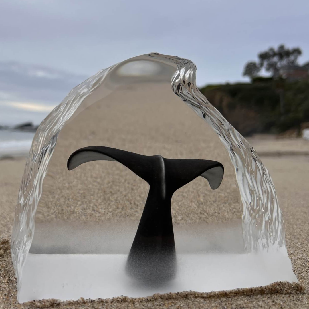 Whale Tail in the Mist