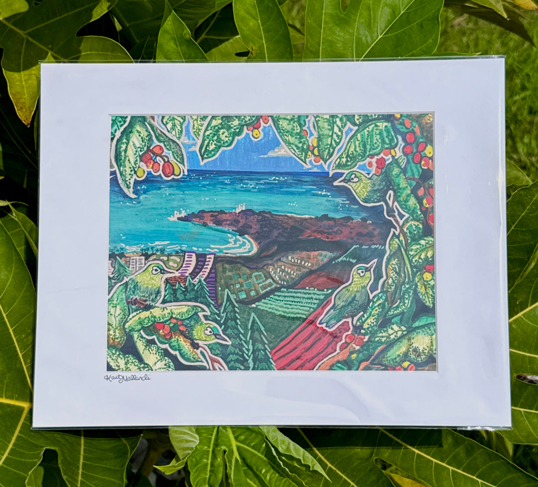 Paper Print - White Eyed Wanderers