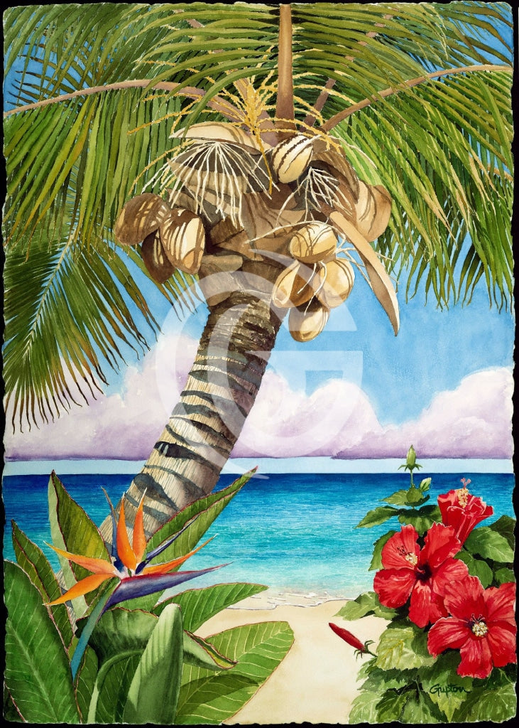 Tropical Horizons I Canvas Giclees