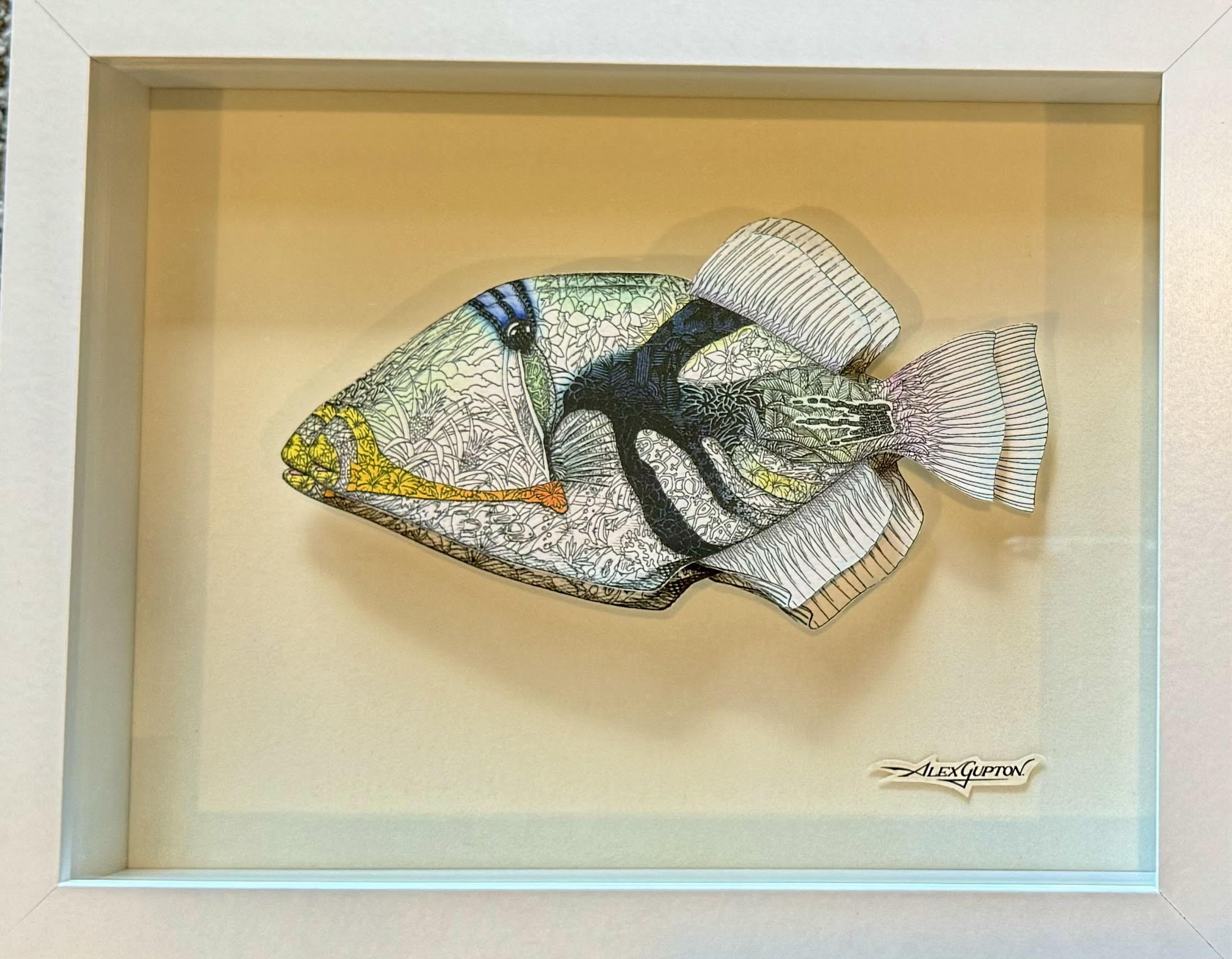 Double Lagoon Triggerfish ~ 000 – Gupton Gallery