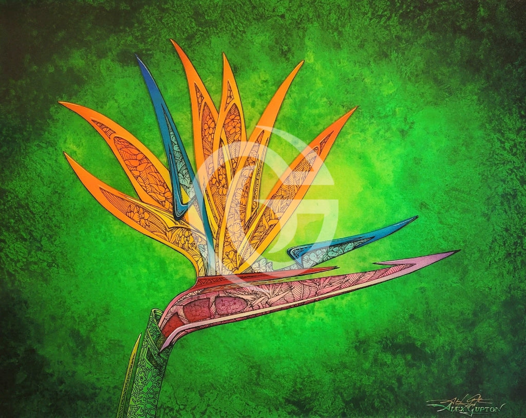 Bird Of Paradise Canvas Giclees