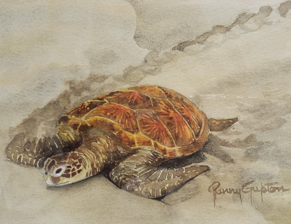 A Honu Experience  ~ Original