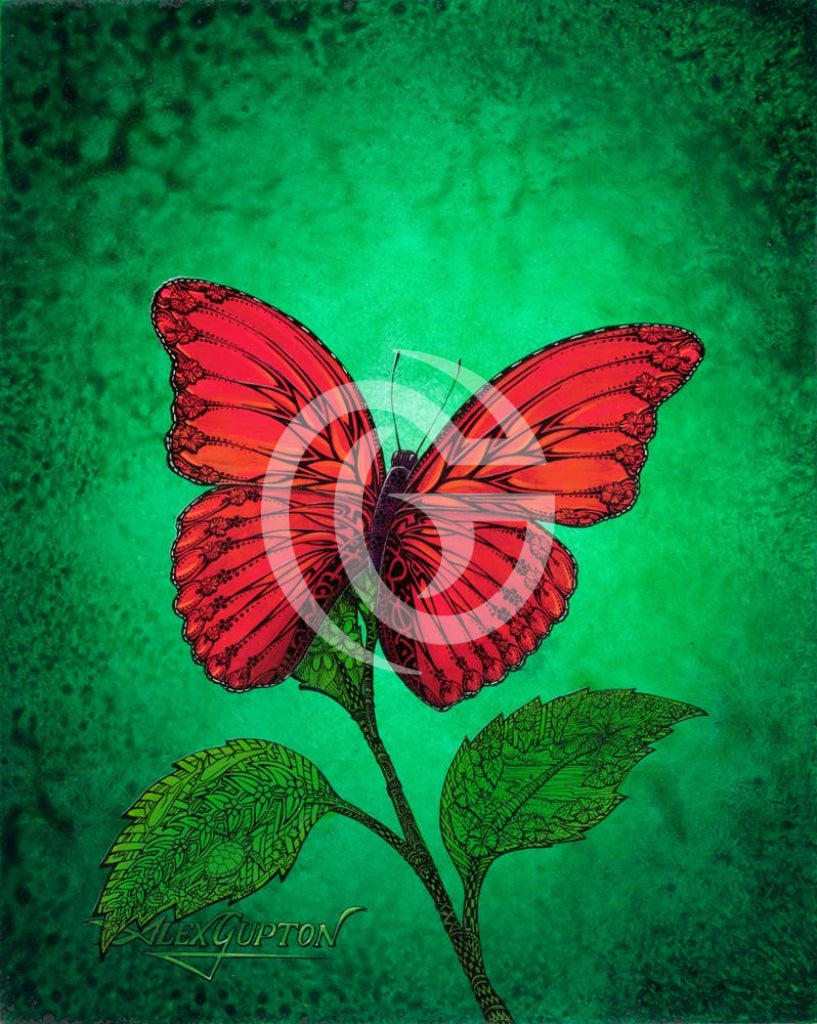 11X14 Paper Prints - Flowering Butterfly Print