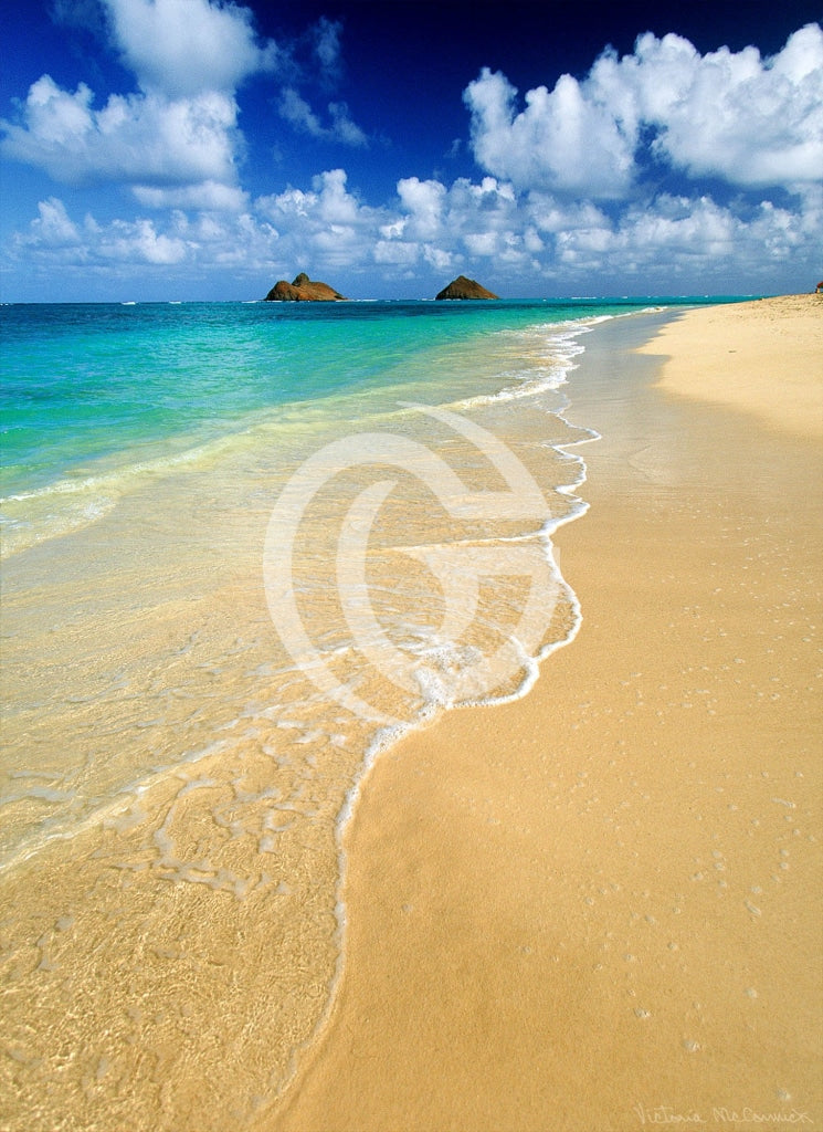 Paper Print - Alluring Lanikai