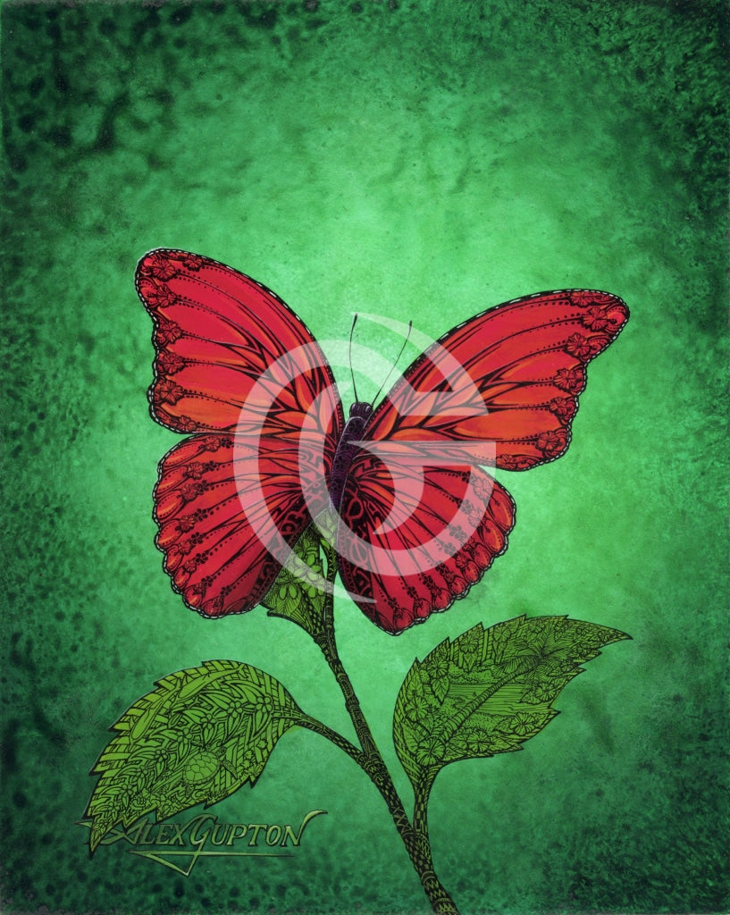 Flowering Butterfly Canvas Giclees