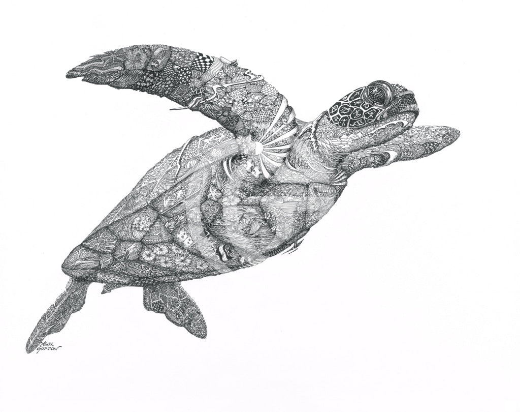 11X14 Paper Prints - Honu Print