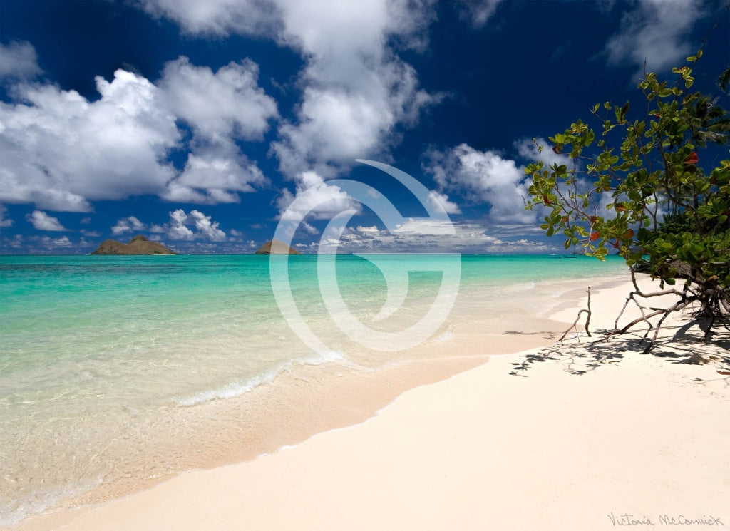 Paper Print - Lovely Lanikai Beach