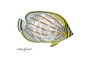 Ornate Butterflyfish - (Swimming Out Of The School Series) Canvas Giclees