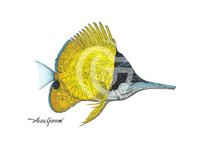 Rare Longnose Butterflyfish - (Swimming Out Of The School Series) Canvas Giclees