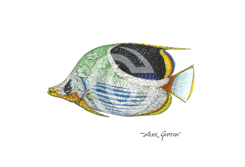 Saddleback Butterflyfish - (Swimming Out Of The School Series) Canvas Giclees