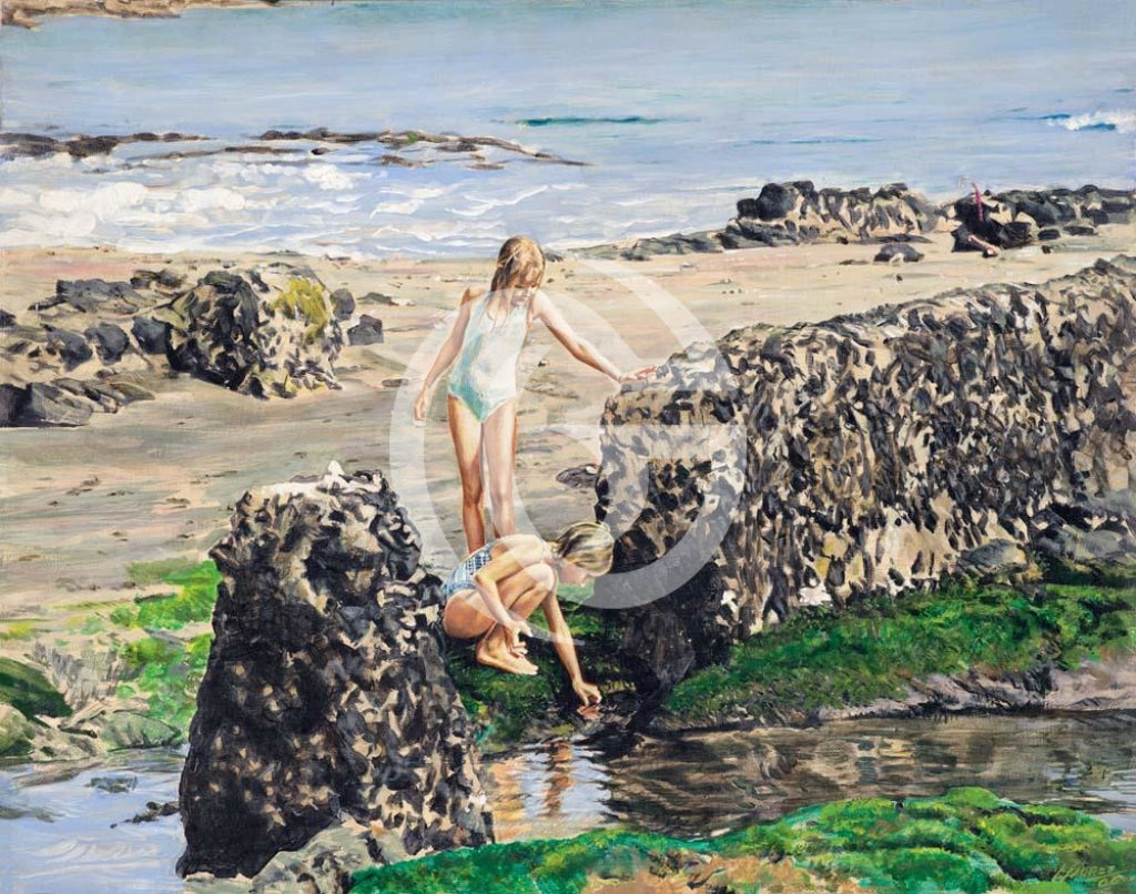 Tide Pool Treasures Canvas Giclees