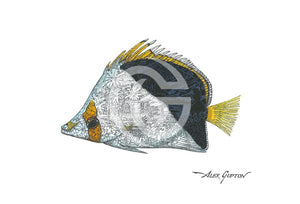Tinkers Butterflyfish - (Swimming Out Of The School Series) Canvas Giclees