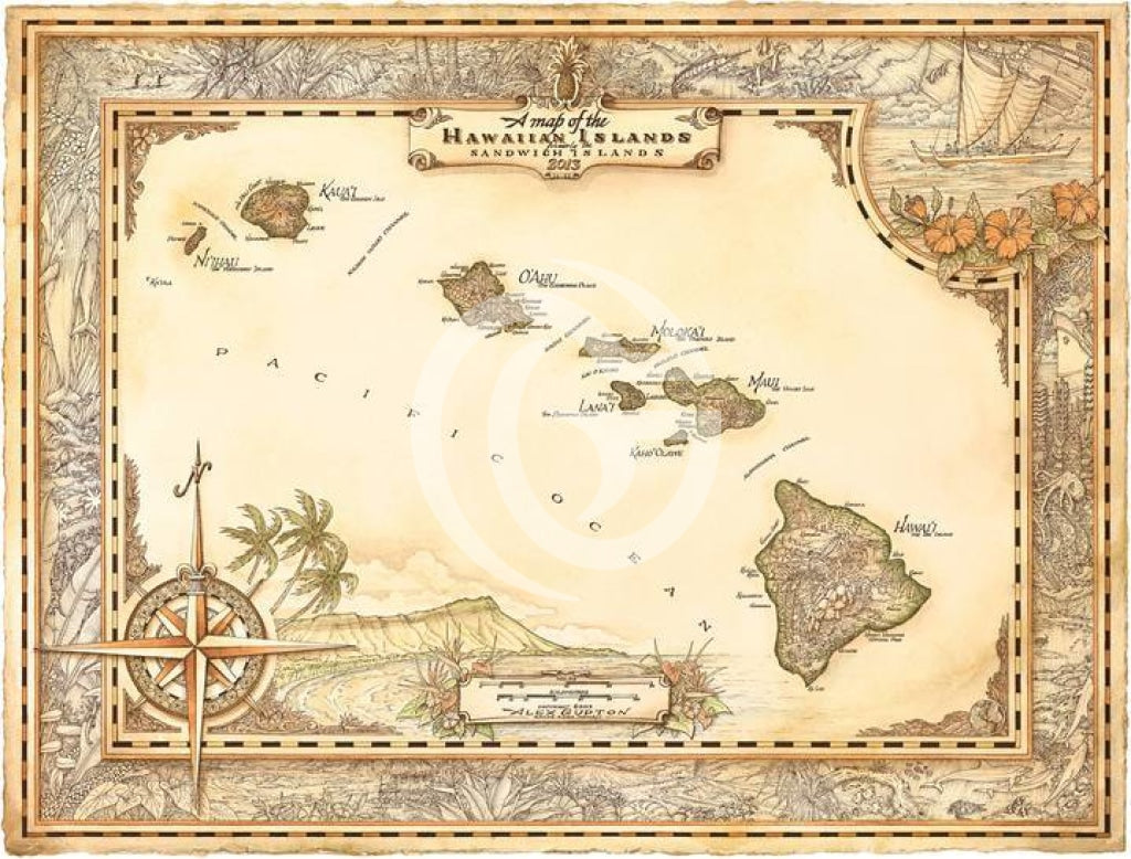 20X16 Paper Print - Vintage Hawaii