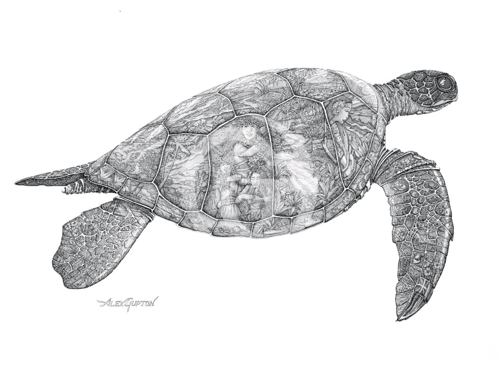 11X14 Paper Prints - Visions Of The Honu Print