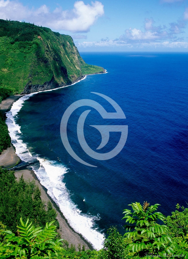 Paper Print - Waipio Valley Coastline