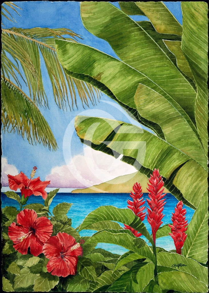 Tropical Horizons Ii Canvas Giclees